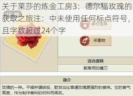 关于莱莎的炼金工房3：德尔福玫瑰的获取之旅注：中未使用任何标点符号，且字数超过24个字