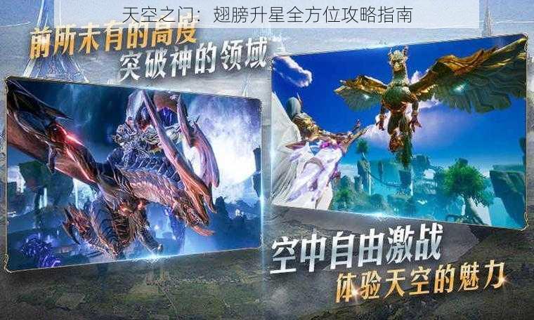 天空之门：翅膀升星全方位攻略指南