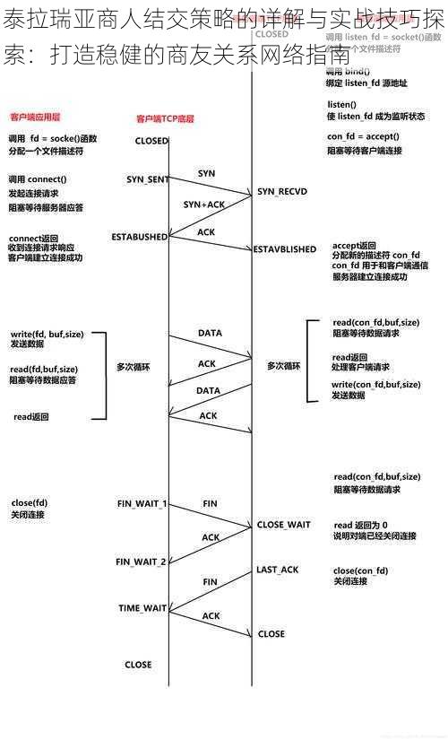 泰拉瑞亚商人结交策略的详解与实战技巧探索：打造稳健的商友关系网络指南