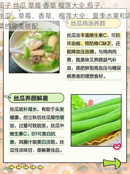 茄子 丝瓜 草莓 香草 榴莲大全,茄子、丝瓜、草莓、香草、榴莲大全：夏季水果和蔬菜的完美搭配