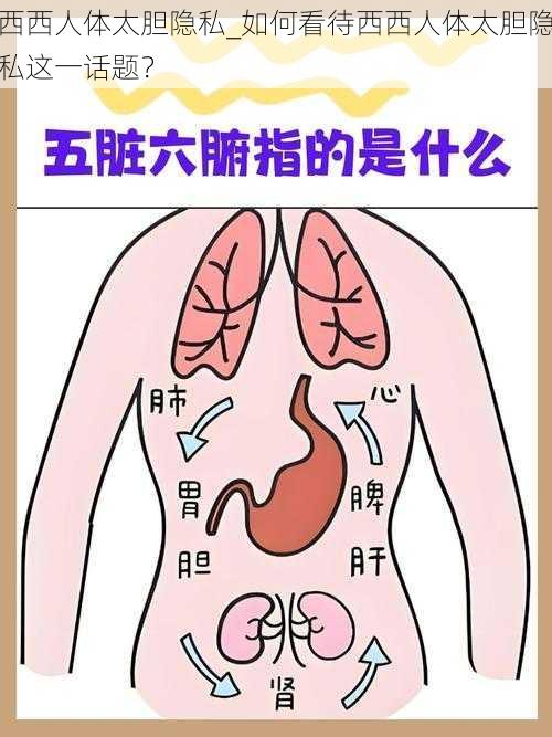 西西人体太胆隐私_如何看待西西人体太胆隐私这一话题？