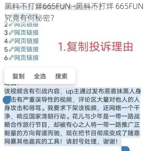 黑料不打烊665FUN—黑料不打烊 665FUN究竟有何秘密？