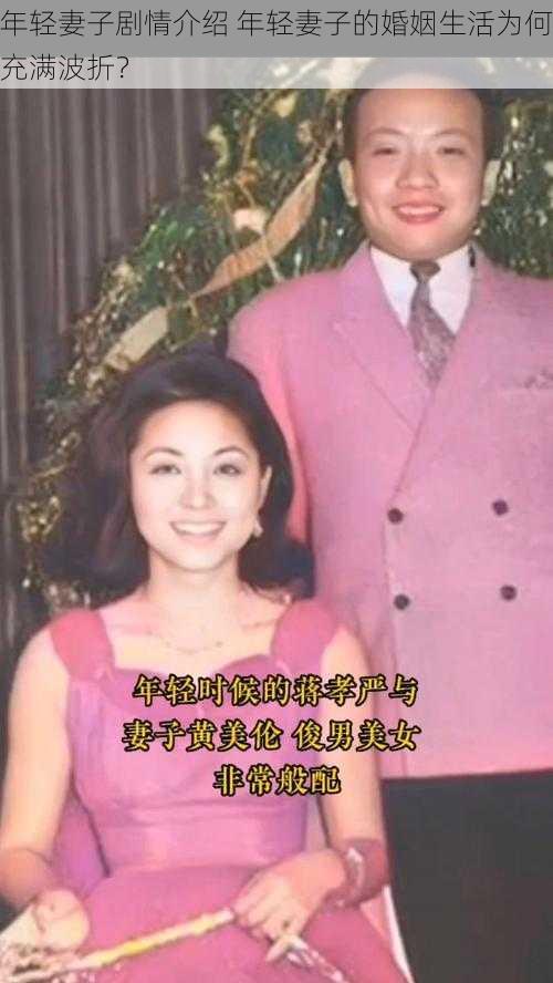 年轻妻子剧情介绍 年轻妻子的婚姻生活为何充满波折？