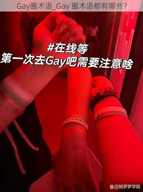 Gay圈术语_Gay 圈术语都有哪些？