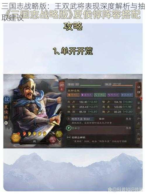 三国志战略版：王双武将表现深度解析与抽取建议