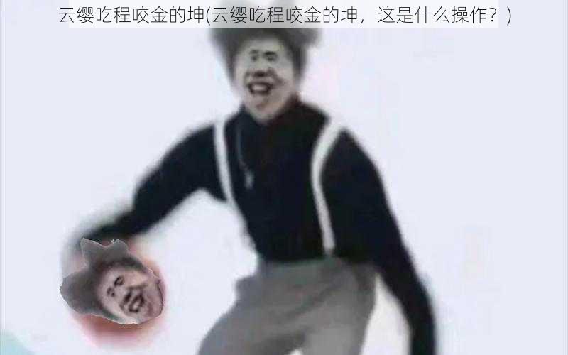 云缨吃程咬金的坤(云缨吃程咬金的坤，这是什么操作？)