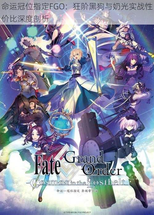 命运冠位指定FGO：狂阶黑狗与奶光实战性价比深度剖析