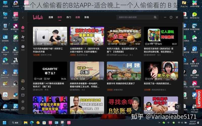 晚上一个人偷偷看的B站APP-适合晚上一个人偷偷看的 B 站 APP