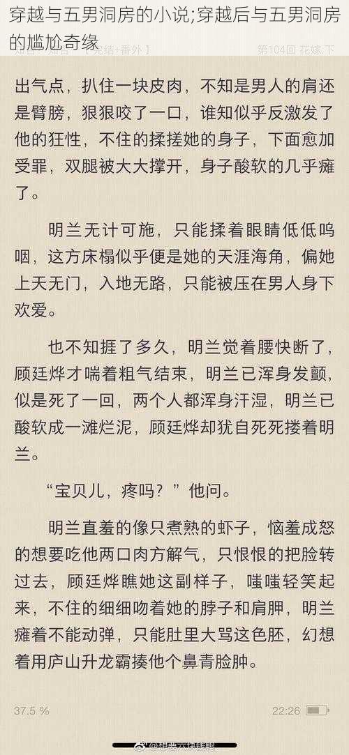 穿越与五男洞房的小说;穿越后与五男洞房的尴尬奇缘