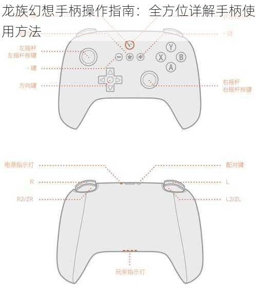 龙族幻想手柄操作指南：全方位详解手柄使用方法