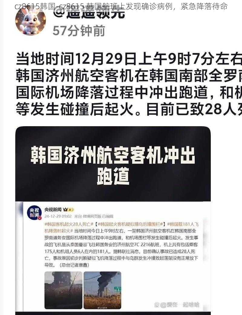 cz8615韩国-cz8615 韩国航班上发现确诊病例，紧急降落待命