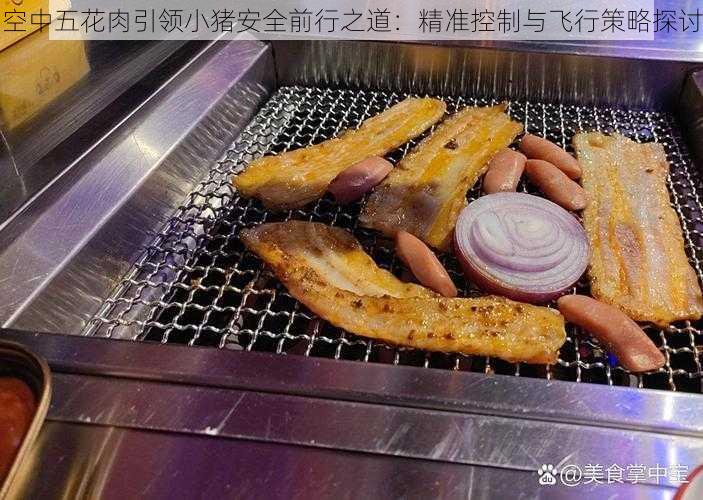 空中五花肉引领小猪安全前行之道：精准控制与飞行策略探讨