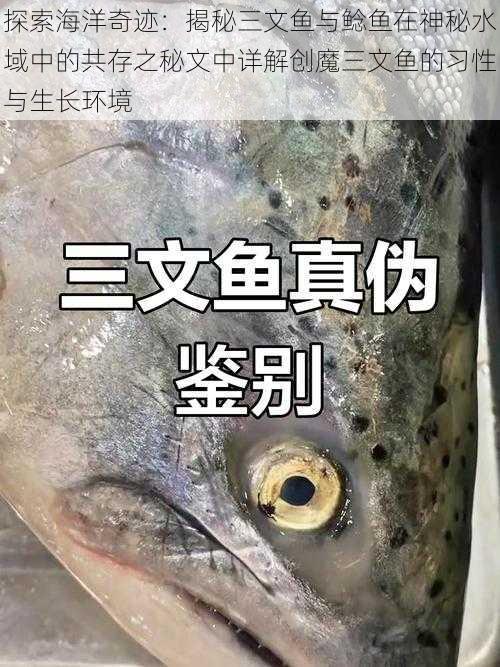 探索海洋奇迹：揭秘三文鱼与鲶鱼在神秘水域中的共存之秘文中详解创魔三文鱼的习性与生长环境