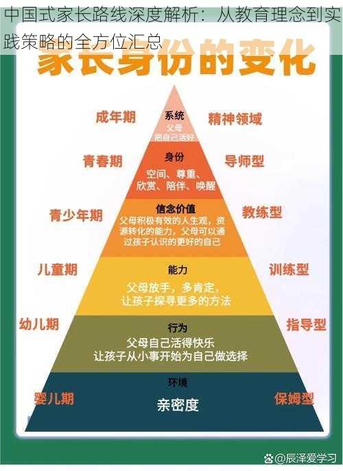 中国式家长路线深度解析：从教育理念到实践策略的全方位汇总