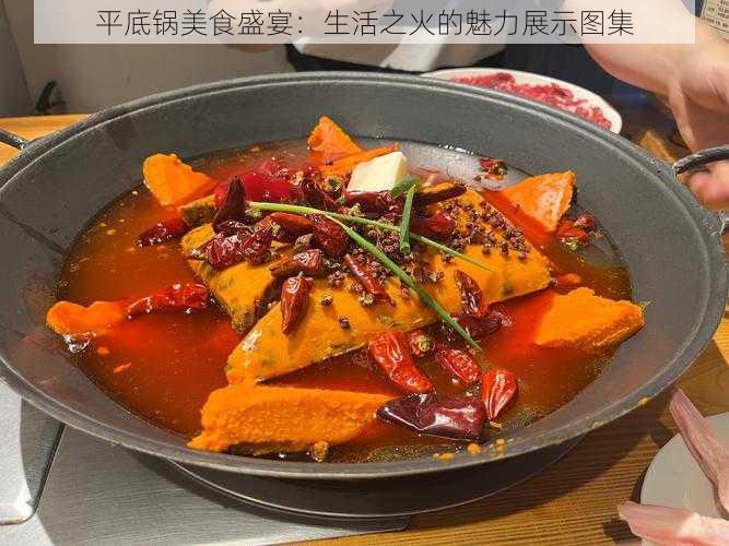 平底锅美食盛宴：生活之火的魅力展示图集