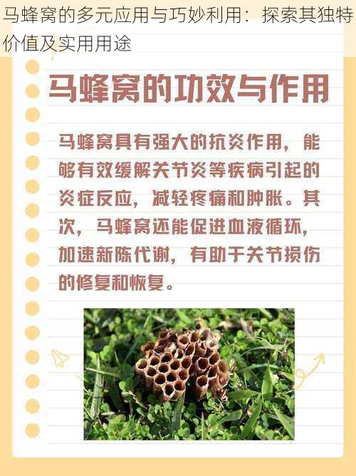 马蜂窝的多元应用与巧妙利用：探索其独特价值及实用用途