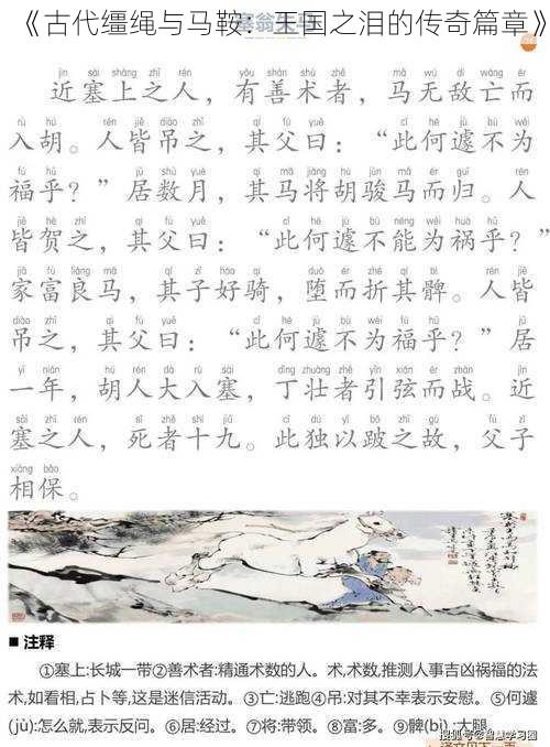 《古代缰绳与马鞍：王国之泪的传奇篇章》