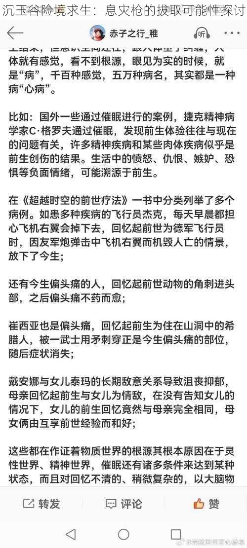 沉玉谷险境求生：息灾枪的拔取可能性探讨