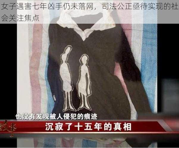 女子遇害七年凶手仍未落网，司法公正亟待实现的社会关注焦点