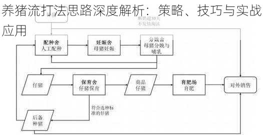 养猪流打法思路深度解析：策略、技巧与实战应用