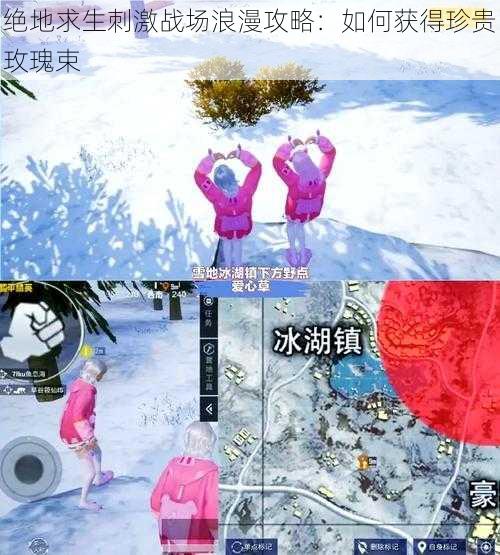 绝地求生刺激战场浪漫攻略：如何获得珍贵玫瑰束