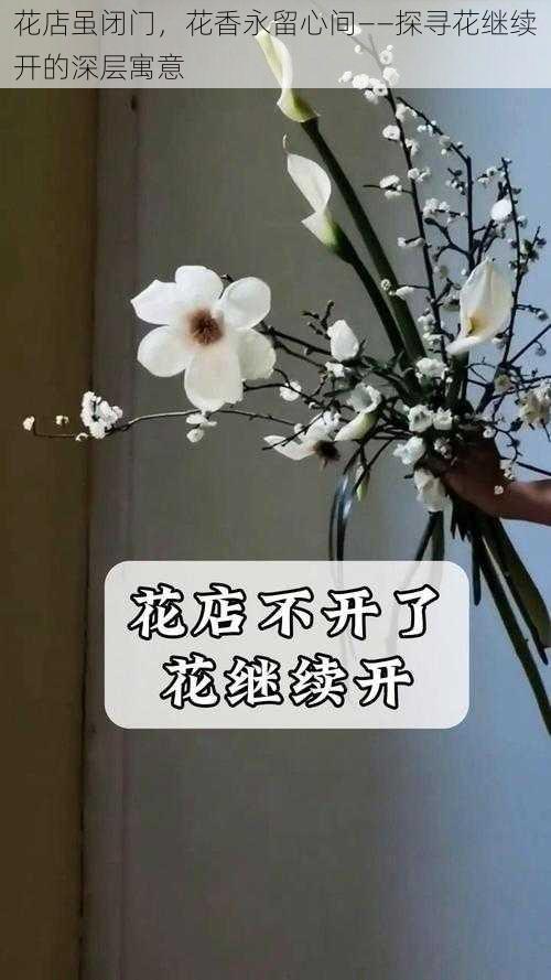 花店虽闭门，花香永留心间——探寻花继续开的深层寓意