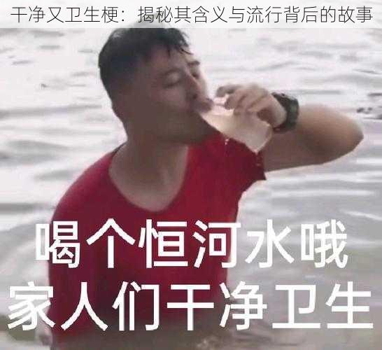 干净又卫生梗：揭秘其含义与流行背后的故事