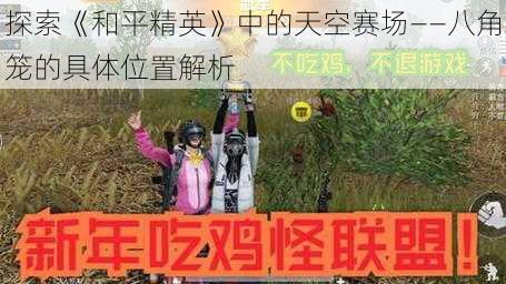 探索《和平精英》中的天空赛场——八角笼的具体位置解析