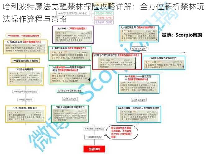 哈利波特魔法觉醒禁林探险攻略详解：全方位解析禁林玩法操作流程与策略