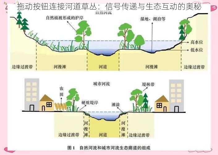 拖动按钮连接河道草丛：信号传递与生态互动的奥秘